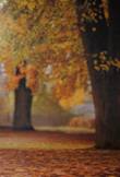 Herbstwald.jpg