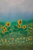 Sonnenblume.jpg