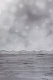 Shabby-5.jpg